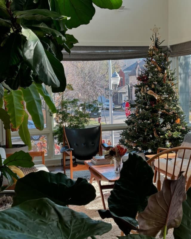 Photo by Robert Willis