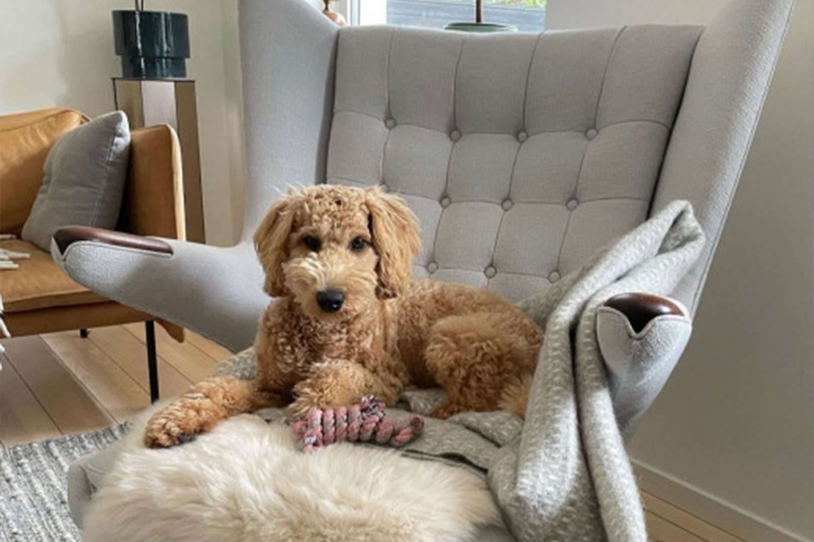 Review by Natalie R.