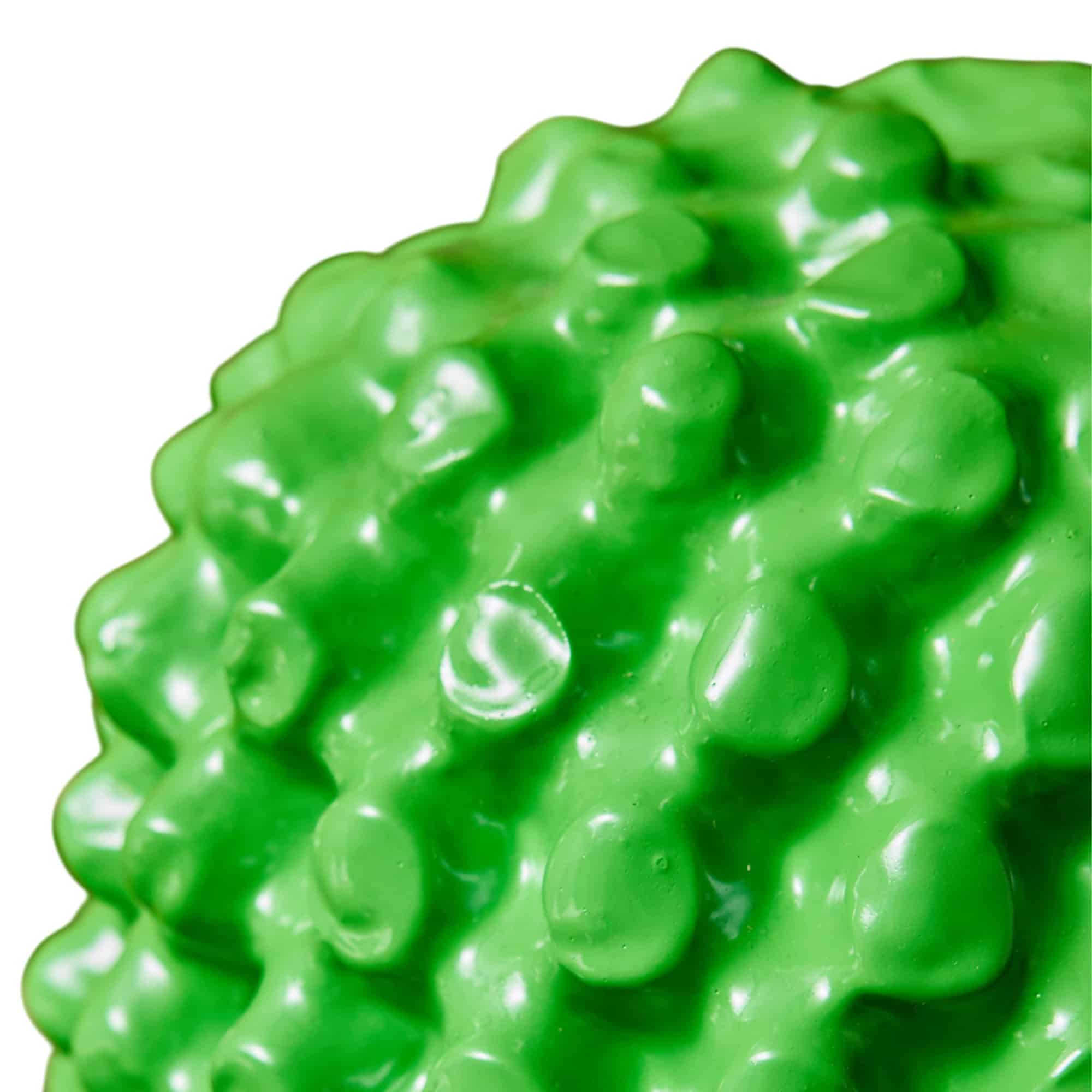 Cactus Coatrack - Green (4)