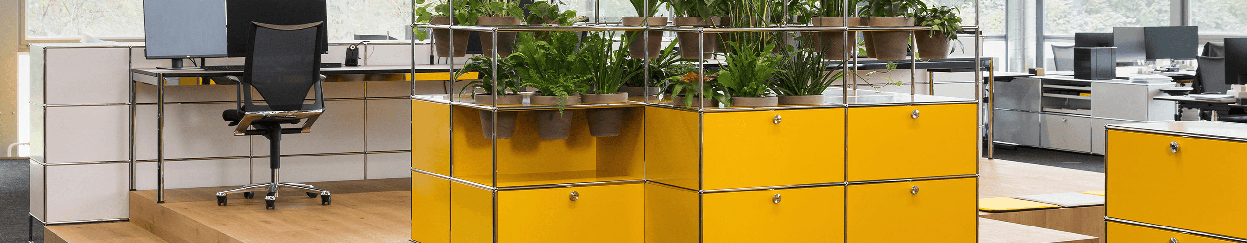 Banner Collection Haller